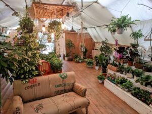 Cozy Gianicolo Garden Apartment - struttura accessibile a Roma verificata da VemRent