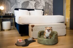 Elizabeth Unique Hotel - struttura accessibile a Roma verificata da VemRent