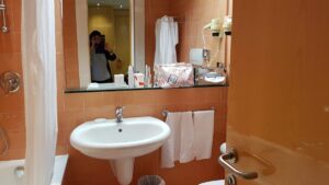 Hotel Albani - struttura accessibile a Roma verificata da VemRent