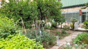 Reale Roma - struttura accessibile a Roma verificata da VemRent