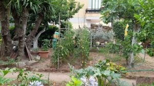 Reale Roma - struttura accessibile a Roma verificata da VemRent